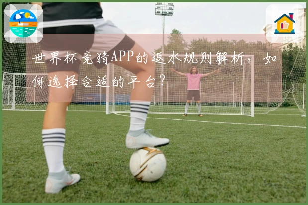 世界杯竞猜APP的返水规则解析，如何选择合适的平台？