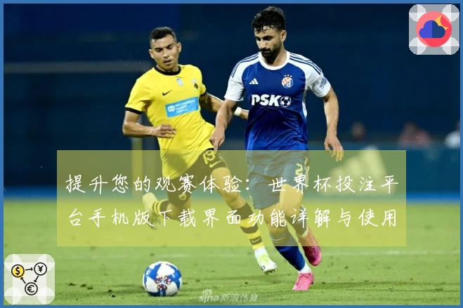 提升您的观赛体验:世界杯投注平台手机版下载界面功能详解与使用指南