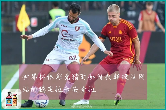 世界杯体彩竞猜时如何判断投注网站的稳定性和安全性
