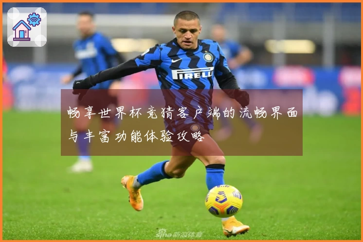 畅享世界杯竞猜客户端的流畅界面与丰富功能体验攻略