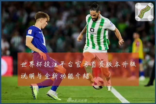 世界杯投注平台官方首页版本升级说明与全新功能介绍