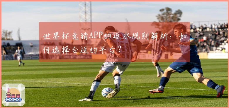 世界杯竞猜APP的返水规则解析，如何选择合适的平台？