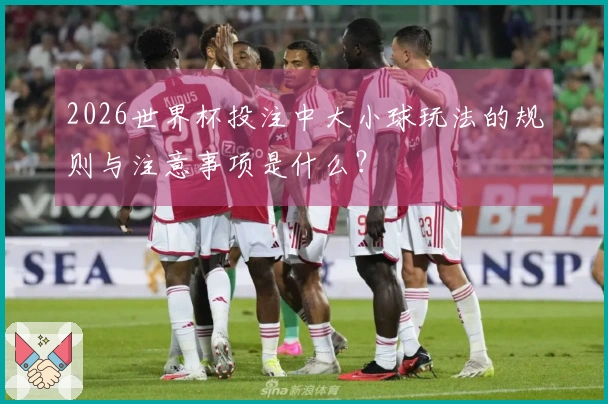 2026世界杯投注中大小球玩法的规则与注意事项是什么？