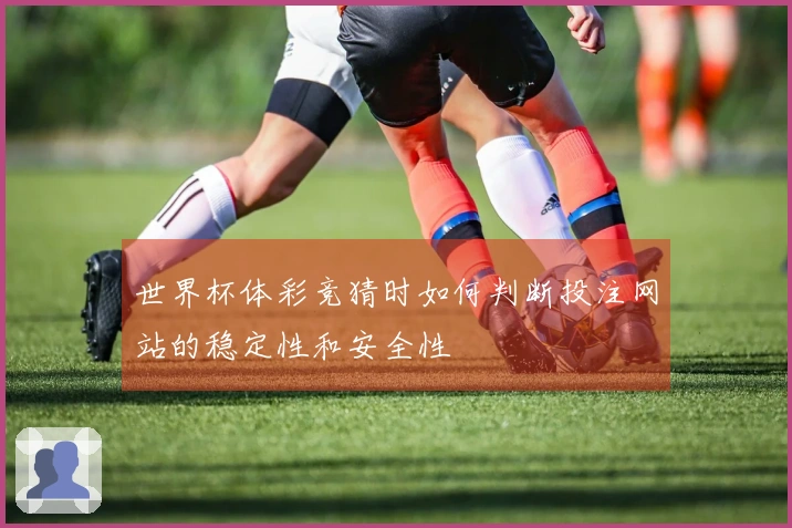 世界杯体彩竞猜时如何判断投注网站的稳定性和安全性