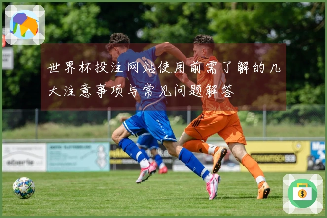 世界杯投注网站使用前需了解的几大注意事项与常见问题解答