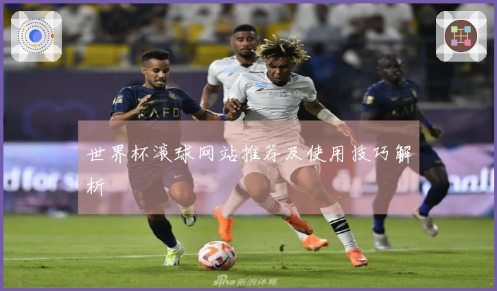 世界杯滚球网站推荐及使用技巧解析
