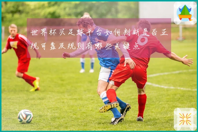 世界杯买足球平台如何判断是否正规可靠及规则有哪些关键点