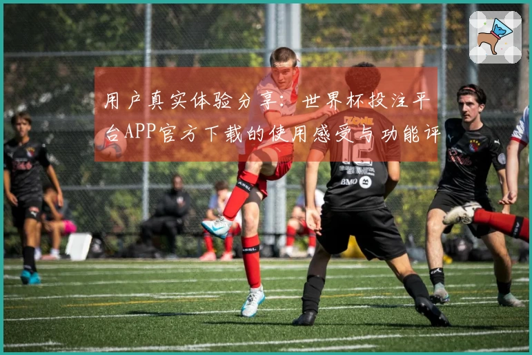 用户真实体验分享：世界杯投注平台APP官方下载的使用感受与功能评测