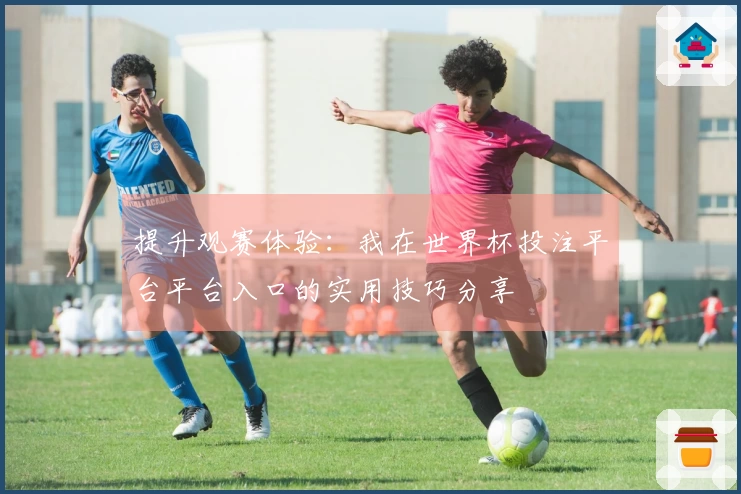 提升观赛体验：我在世界杯投注平台平台入口的实用技巧分享