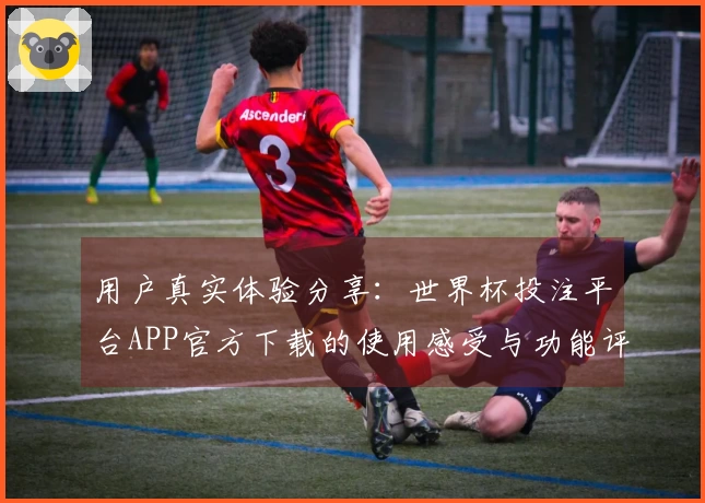 用户真实体验分享：世界杯投注平台APP官方下载的使用感受与功能评测