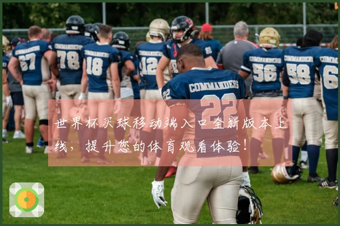 世界杯买球移动端入口全新版本上线,提升您的体育观看体验!