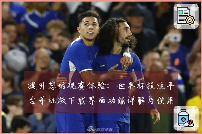 提升您的观赛体验：世界杯投注平台手机版下载界面功能详解与使用指南