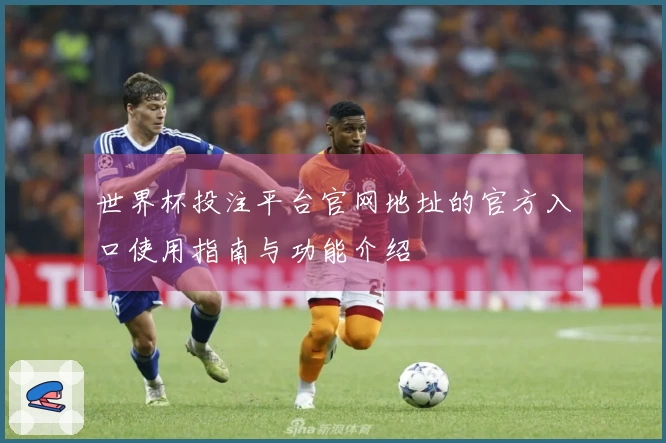 世界杯投注平台官网地址的官方入口使用指南与功能介绍