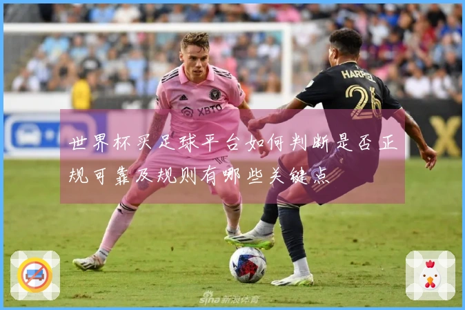 世界杯买足球平台如何判断是否正规可靠及规则有哪些关键点