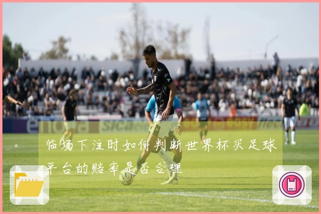 临场下注时如何判断世界杯买足球平台的赔率是否合理