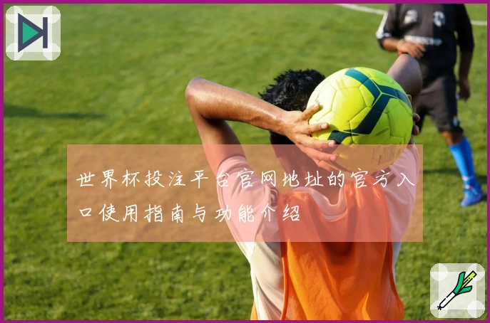 世界杯投注平台官网地址的官方入口使用指南与功能介绍