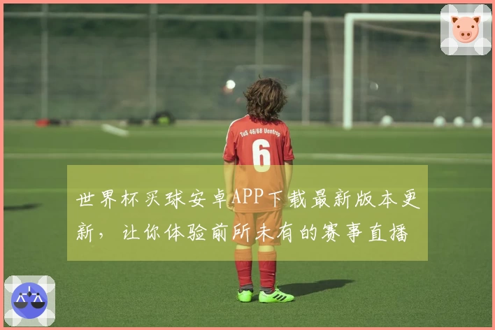 世界杯买球安卓APP下载最新版本更新，让你体验前所未有的赛事直播乐趣