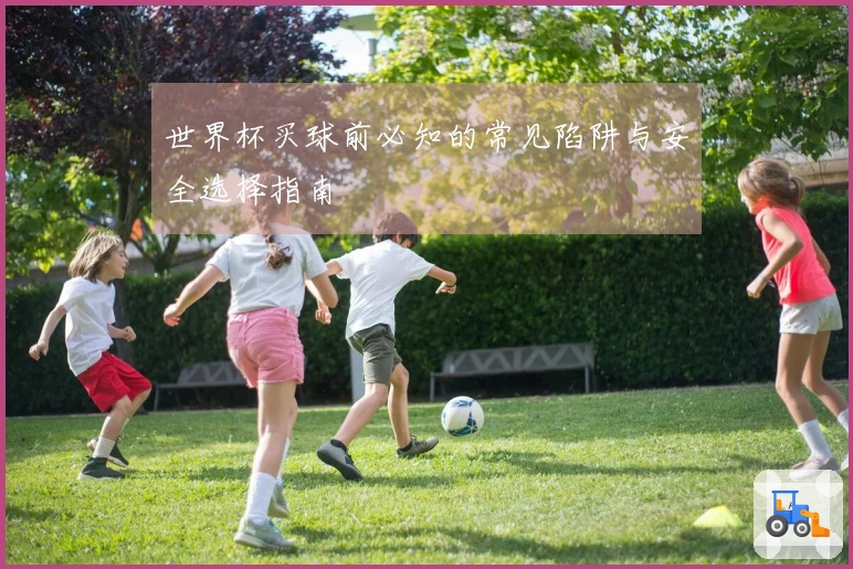 世界杯买球前必知的常见陷阱与安全选择指南